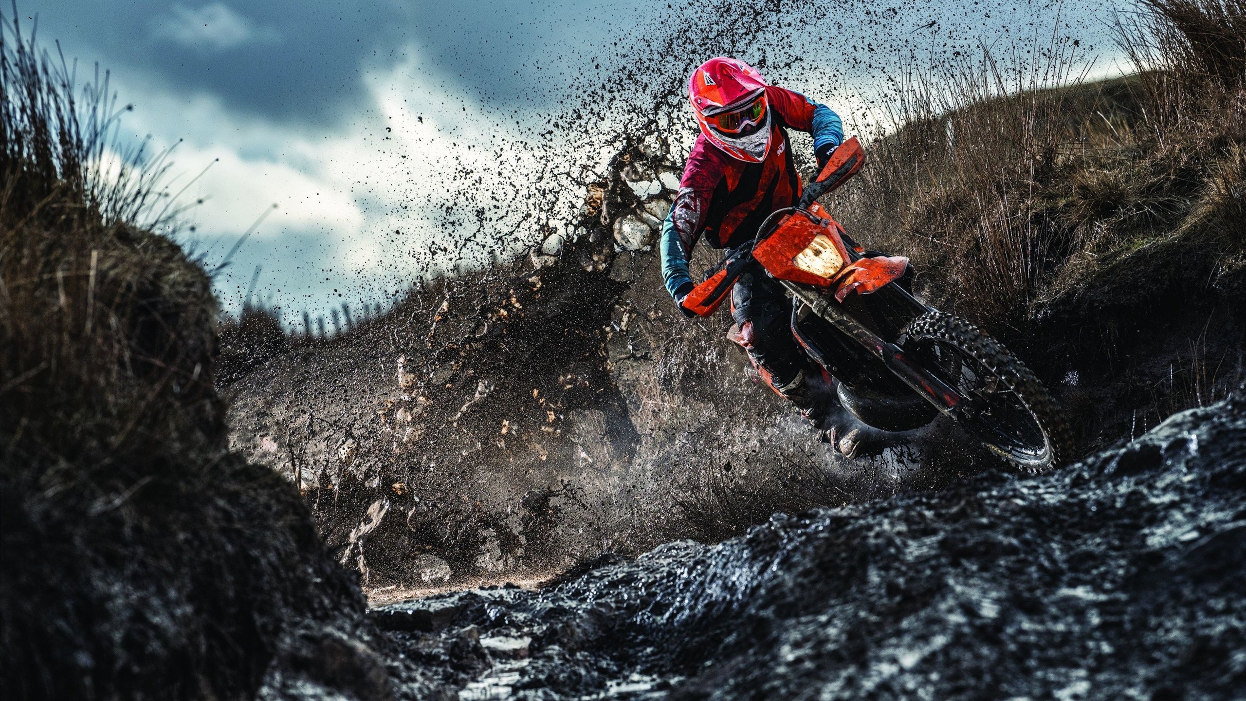 多特蒙德主场惜败，利物浦晋级八强，利物浦逆转多特蒙德